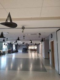 Check out the decorations WSC did for Halloween!